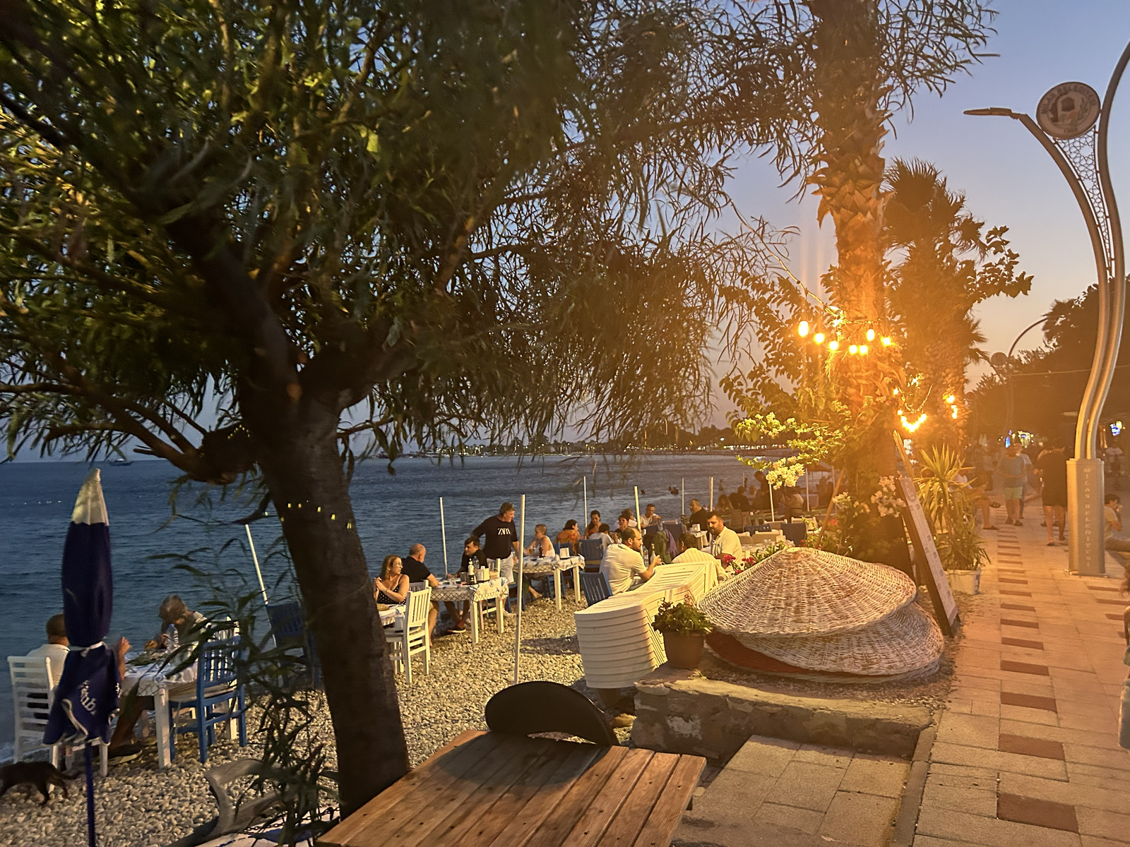 Balık Restoranları ve Kafeler